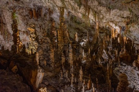 Geological formations at Postojna cave in Slovenia