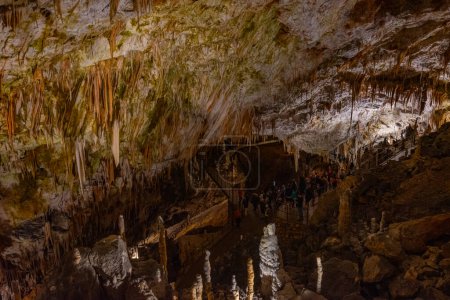 Formations géologiques dans la grotte de Postojna en Slovénie