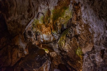 Formations géologiques dans la grotte de Postojna en Slovénie