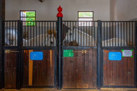 Stables at Slovenian village Lipica where famous Lipizzaner horses are bred