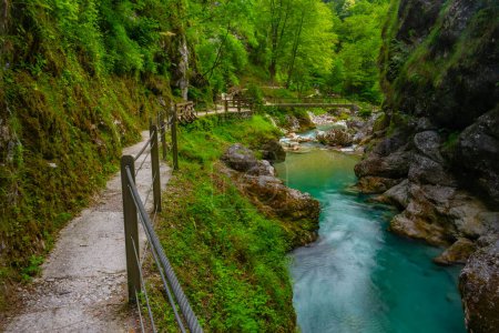 Tolminer Schlucht an einem Sommermorgen in Slowenien