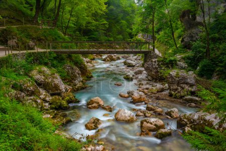 Tolmin gorge during a summer morning in Slovenia