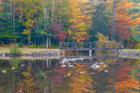 Photo for Warming pool in Moose Brook State Park. Gorham. New Hampshire - Royalty Free Image