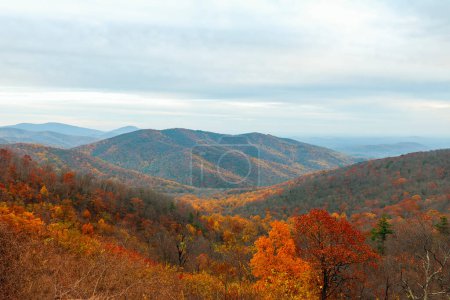 Photo for Colorful autumn view of Blue Ridge mountain ridges from Skyline Drive in Shenandoah National Park. Virginia. USA - Royalty Free Image