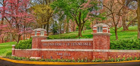 A slightly panoramic view of the main University of Tennessee sign surrounded by a collection of blooming tulips and pink dogwood trees.