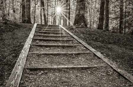 Foto de An outdoor stairway cut into the side of a hill in the Great Smoky Mountains National Park, giving a visual example of "The Way Forward." - Imagen libre de derechos