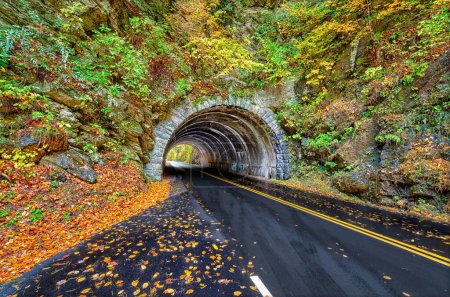 Téléchargez les photos : A landmark Smoky Mountains tunnel, which lies between Townsend, Tennessee and Cades Cove,  is surrounded by a show of Autumn colors. - en image libre de droit