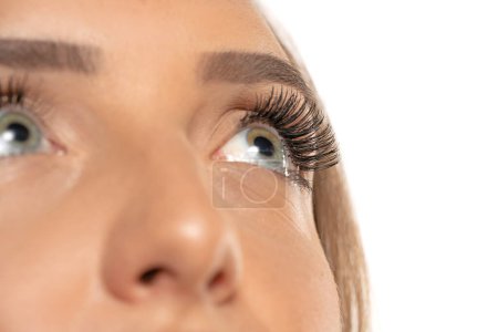 Téléchargez les photos : Beauté oeil féminin avec boucle longs faux cils sur un fond de studio blanc - en image libre de droit