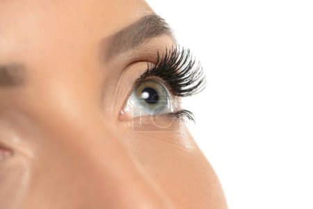 Photo for Beauty female eye with curl long false eyelashes on a white studio background - Royalty Free Image