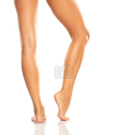 Téléchargez les photos : Back view of a beautiful women's feet and legs on white studio background - en image libre de droit