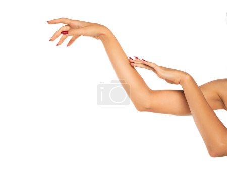 Téléchargez les photos : Close up of female soft skin hands. health and beauty concept. white studio background. - en image libre de droit