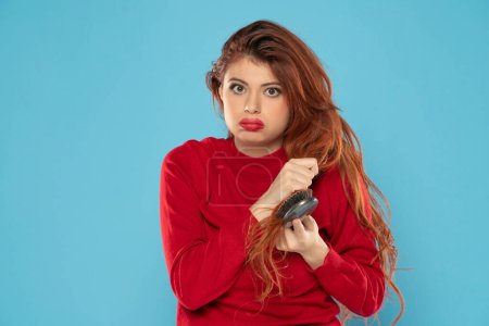 Photo for Nervous young redhead woman with brush stuck in her messy hair on a blue studio background - Royalty Free Image