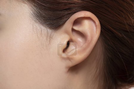 Téléchargez les photos : Gros plan de l'oreille féminine - en image libre de droit
