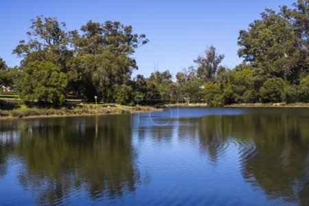 Foto de Hermosa vista panorámica reflexiva de los humedales y el lago en Dalyellup cerca de Bunbury Australia Occidental, que es el hogar de patos, espátulas, cochas y muchas otras aves acuáticas en una mañana de verano bien, aunque fresco. - Imagen libre de derechos