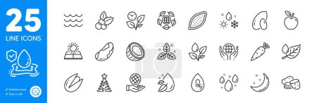 Illustration for Outline icons set. Leaves, Brazil nut and Carrot icons. Christmas holly, Rainy weather, Fair trade web elements. Apple, Flood insurance, Christmas tree signs. Pistachio nut, No alcohol. Vector - Royalty Free Image