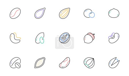 Illustration for Nuts and seeds line icons. Hazelnut, Almond nut and Peanut. Walnut, Brazil nut, Pistachio icons. Cacao and Cashew nuts. Linear set. Bicolor outline web elements. Vector - Royalty Free Image