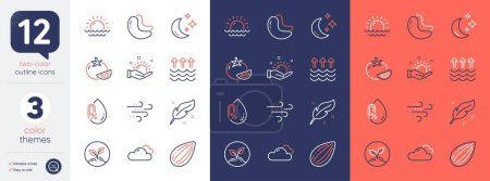 Illustration for Set of Tomato, Almond nut and Sunset line icons. Include Cloudy weather, Cashew nut, Startup icons. Moon, No alcohol, Evaporation web elements. Sunny weather, Feather. Fresh vegetable. Vector - Royalty Free Image