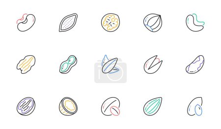 Illustration for Nuts and seeds line icons. Hazelnut, Almond nut and Peanut. Sunflower seeds, Brazil nut, Pistachio icons. Walnut, Coconut and Cashew nuts. Linear set. Bicolor outline web elements. Vector - Royalty Free Image