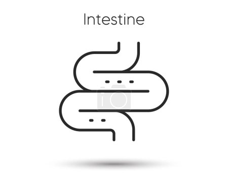 Illustration for Intestine line icon. Digestion sign. Health bowel symbol. Colonoscopy gut procedure. Illustration for web and mobile app. Line style intestines health icon. Editable stroke colon bowel. Vector - Royalty Free Image