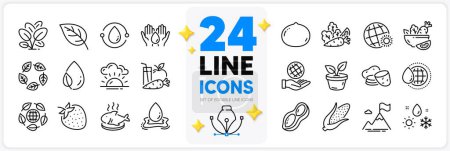 Illustration for Icons set of Sunset, Safe planet and Leaf dew line icons pack for app with Leaf, Corn, Potato thin outline icon. Macadamia nut, Strawberry, Leaves pictogram. Safe water, Peanut. Vector - Royalty Free Image