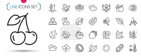 Ilustración de Pack de Deckchair, cereza y girasol línea de iconos. Incluye clima soleado, incubadora, iconos de pictograma de análisis de agua. Orgánica probado, Frutas, signos de agua del mundo. Gusanos. Vector - Imagen libre de derechos
