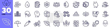 Illustration for Leaf, Face biometrics and Fair trade line icons pack. Patient, Carrot, Dumbbells web icon. No alcohol, Intestine, Hospital building pictogram. Health eye, Medical drugs, Eye protection. Vector - Royalty Free Image