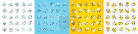 Illustration for Vector icons set of Mint leaves, Organic tested and Dirty water line icons pack for web with Fair trade, Save planet, Walnut outline icon. Sunny weather, Brazil nut, Insomnia pictogram. Vector - Royalty Free Image