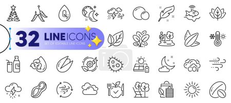 Illustration for Outline set of Maggots, Soy nut and Solar panel line icons for web with Windy weather, Peas, Leaf thin icon. No alcohol, Recycle water, Green energy pictogram icon. Night weather, Milk. Vector - Royalty Free Image