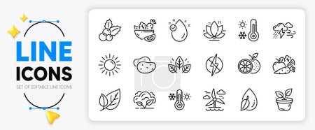 Illustration for Orange, Lotus and Organic tested line icons set for app include Salad, Vitamin e, Thermometer outline thin icon. Weather thermometer, Sun, Vegetables pictogram icon. Antistatic. Vector - Royalty Free Image