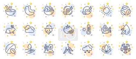 Illustration for Outline set of Soy nut, Salad and Fishing place line icons for web app. Include Cook, Vegetables, Snow weather pictogram icons. Cloudy weather, Co2 gas, Water care signs. Tomato, Maggots. Vector - Royalty Free Image