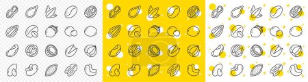 Ilustración de Avellana, almendra y cacahuete. Nueces y semillas línea iconos. Girasol y semillas de calabaza, nuez de Brasil, iconos de pistacho. Nuez, coco y anacardos. Pecan, guisantes, macadamia. Vector - Imagen libre de derechos