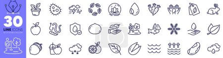 Illustration for Bacteria, Pistachio nut and Leaf dew line icons pack. Bio tags, Organic tested, Carrots web icon. Snow weather, Water care, Snowflake pictogram. Orange, Fishing place, Brazil nut. Vector - Royalty Free Image