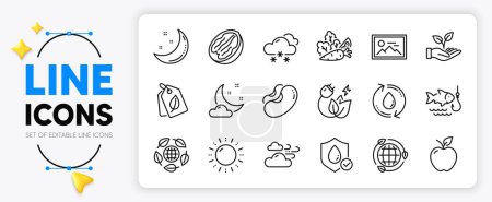 Ilustración de Impermeable, Eco energía y frijoles iconos de línea establecidos para la aplicación incluyen Apple, Energía verde, Esquema de pesca icono delgado. Eco orgánico, tiempo de nieve, el tiempo ventoso icono pictograma. Verduras. Vector - Imagen libre de derechos