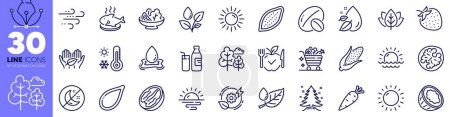 Ilustración de Paquete de iconos de línea de coco, amanecer y maíz. Clima soleado, tuerca de soja, icono de la web Sunset. Pecan nut, Water splash, Salad pictogram. Árbol, sol, plato de pescado. Plantas de riego, Energía verde, Hoja de rocío. Vector - Imagen libre de derechos