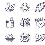 Coconut, Sunrise and Corn line icons pack. Sunny weather, Soy nut, Sunset web icon. Pecan nut, Water splash, Salad pictogram. Tree, Sun, Fish dish. Plants watering, Green energy, Leaf dew. Vector