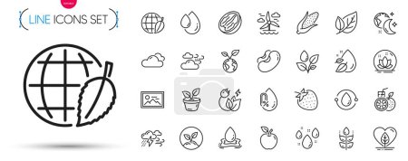 Ilustración de Pack de iconos de línea sin gluten, energía verde y fresa. Incluye salpicadura de agua, regadío de plantas, iconos de pictograma de gota de agua. Mal tiempo, tiempo ventoso, señales de nuez de Pecan. Manzana, sueño, loto. Vector - Imagen libre de derechos