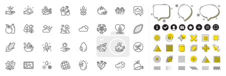 Set of Corn, Sunny weather and Startup line icons for web app. Design elements, Social media icons. Water drop, Apple, Gluten free icons. Windy weather, Salad, Co2 signs. Vector