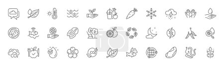 Natural linen, Organic tested and Vegetarian food line icons. Pack of Antistatic, Weather thermometer, Night weather icon. Juice, Orange, Safe water pictogram. Leaf dew, Water analysis. Vector