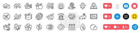 Illustration for Antistatic, Photo and Cold-pressed oil line icons pack. Social media icons. Natural linen, Leaf, Vegetables web icon. Pecan nut, Co2 gas, Potato pictogram. Bad weather, Peas, Iceberg. Vector - Royalty Free Image
