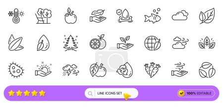 Illustration for Christmas tree, Recycle water and Sunflower seed line icons for web app. Pack of Water drop, Orange, Organic tested pictogram icons. Sunny weather, Apple, Leaves signs. Flood insurance. Vector - Royalty Free Image