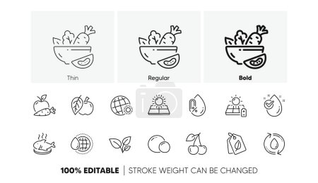 No alcohol, Sun energy and Apple line icons. Pack of Fish dish, World weather, Peas icon. Leaves, Solar panel, Salad pictogram. Cherry, Bio tags, Refill water. Apple carrot, World water. Vector