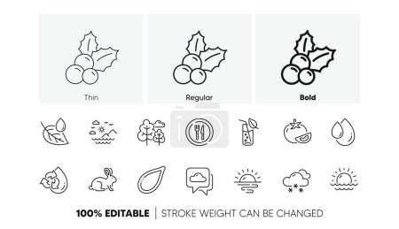 Illustration for Tree, Food and Sunrise line icons. Pack of Water glass, Sunset, Oil drop icon. Leaf dew, Snow weather, Christmas holly pictogram. Sea mountains, Weather forecast, Tomato. Pumpkin seed. Vector - Royalty Free Image