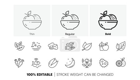 Travel sea, Fruits and Juice line icons. Pack of Fishfinder, Pistachio nut, Carrots icon. Organic tested, Orange, Leaf pictogram. Incubator, Lightweight, Moon stars. Potato, Mint leaves. Vector