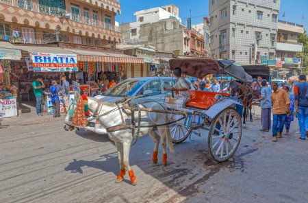 Téléchargez les photos : AJMER, INDIA - MARCH 1 2018: A coachman drives a horse-drawn carriage on the main street. - en image libre de droit