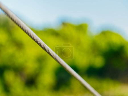 Téléchargez les photos : Skyline or zipline metal rope in pine forest on Biokovo mountain Nature Park in Croatia. - en image libre de droit