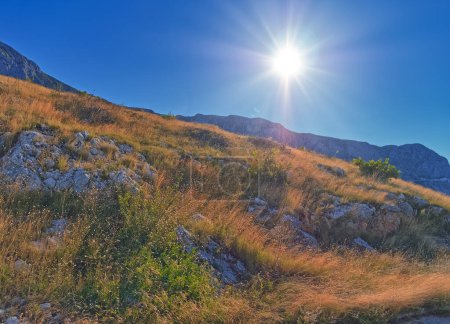 Téléchargez les photos : Biokovo paysage de montagne dans la journée ensoleillée d'automne. Parc naturel en Croatie - en image libre de droit