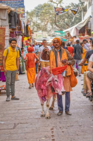 Foto de PUSHKAR, INDIA - 3 DE MARZO DE 2018: Colorida escena de sadhu posa con vaca santa en la calle. - Imagen libre de derechos