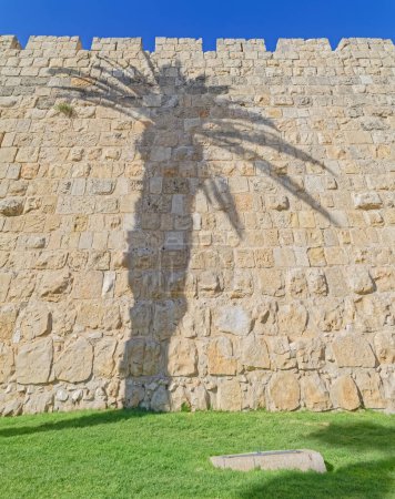 Téléchargez les photos : Murs de ville avec ombre de palmier à Jérusalem Israël. - en image libre de droit
