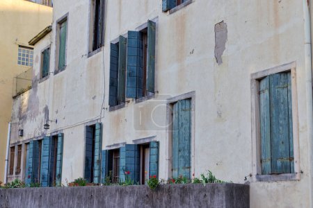 Téléchargez les photos : Des fenêtres vintage et des tulipes fleuries dans des pots en béton ornent la charmante façade de Padoue Italie. - en image libre de droit