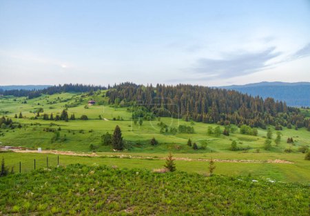 Foto de Impresionante vista panorámica de los exuberantes prados verdes ubicados en las estribaciones del Monte Vlasic en Travnik, Bosnia y Herzegovina. - Imagen libre de derechos